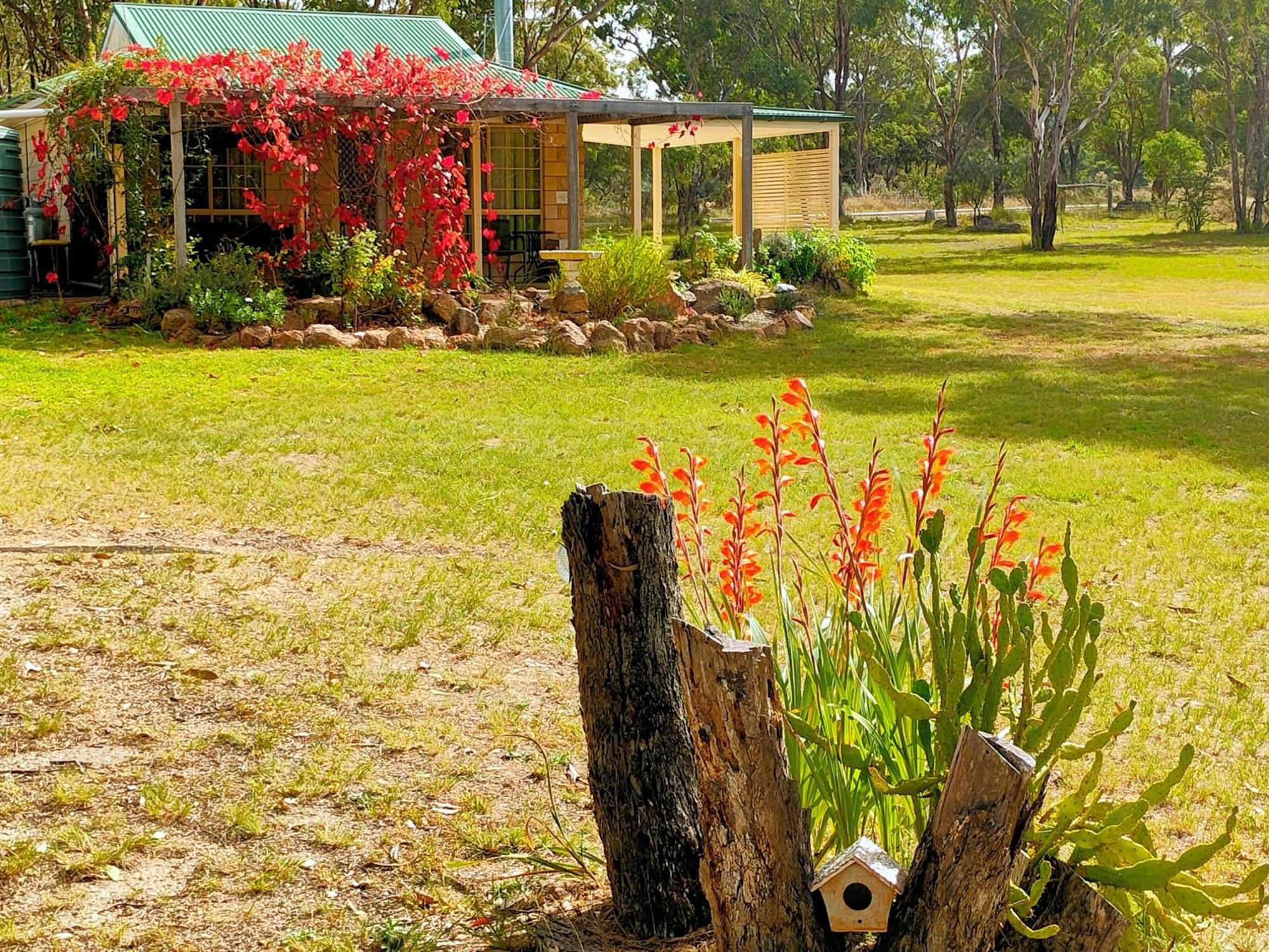 Severn River Cottages Severnlea Экстерьер фото
