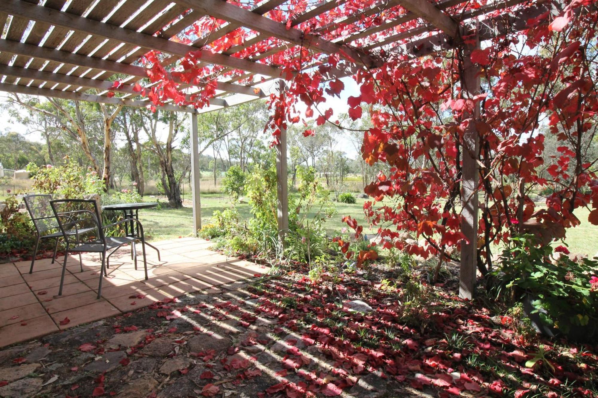 Severn River Cottages Severnlea Экстерьер фото